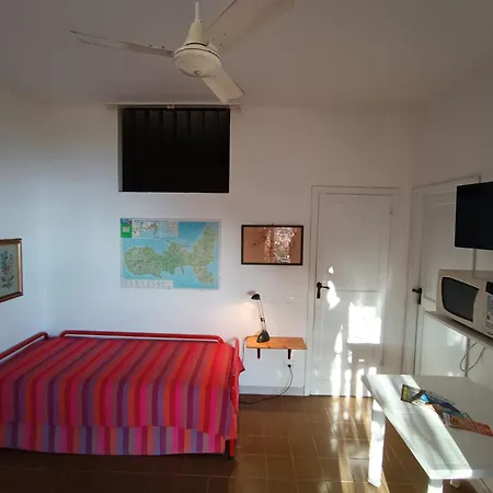 Fiorita - Bouganville * Capoliveri (Isola d'Elba)