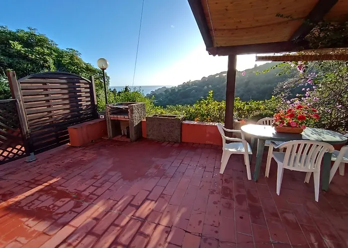 Fiorita - Bouganville