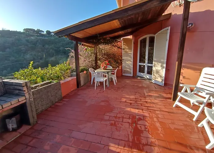 Fiorita - Bouganville *