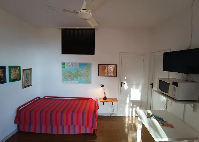 Fiorita - Bouganville * Capoliveri (Isola d'Elba)